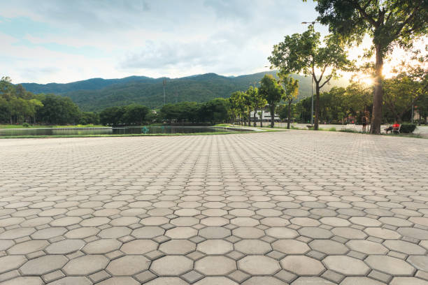 Best Driveway Pavers Contractor  in Eudora, KS